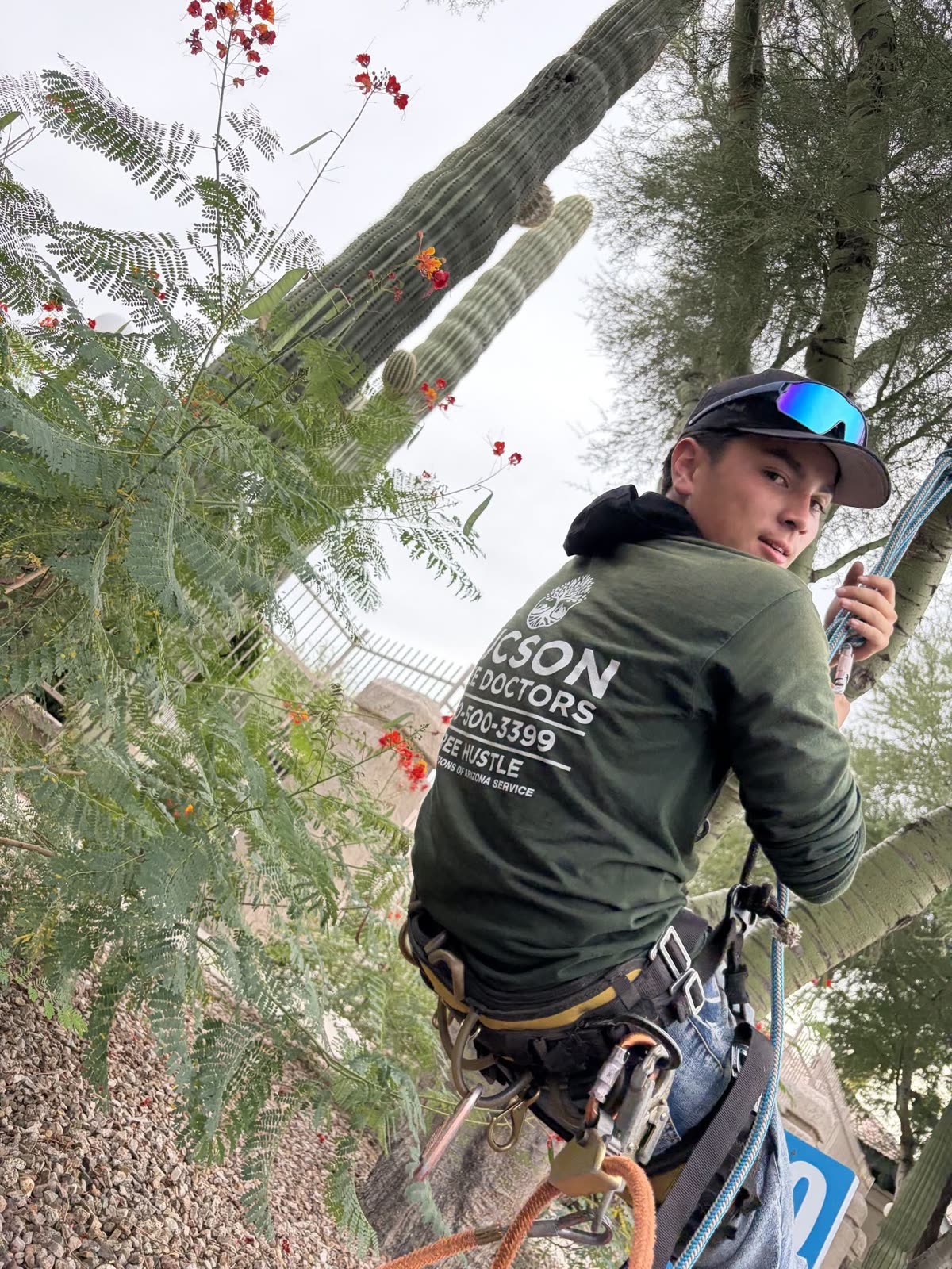 Tucson Tree Doctors truck and crew on site at the U.S. Customs main office in Tucson