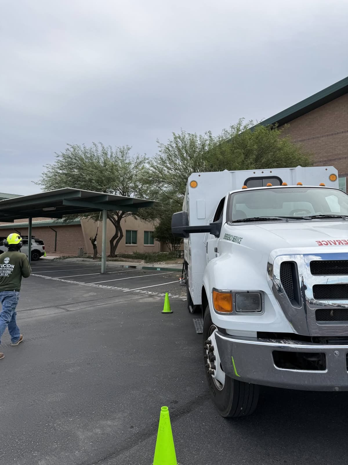 Tucson Tree Doctors crew member trimming trees at the U.S. Customs main office