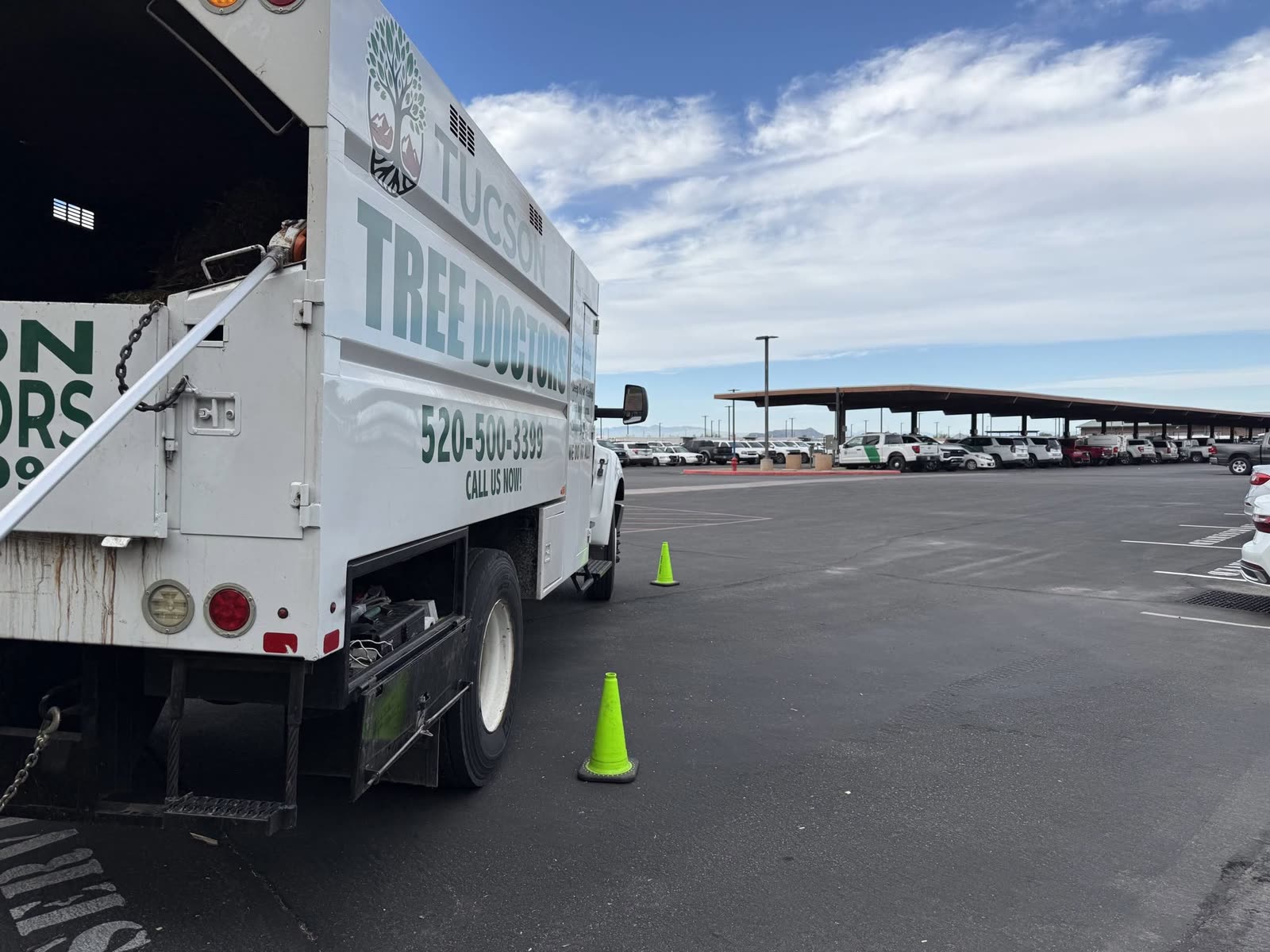 Tucson Tree Doctors on site at the U.S. Customs main office in Tucson