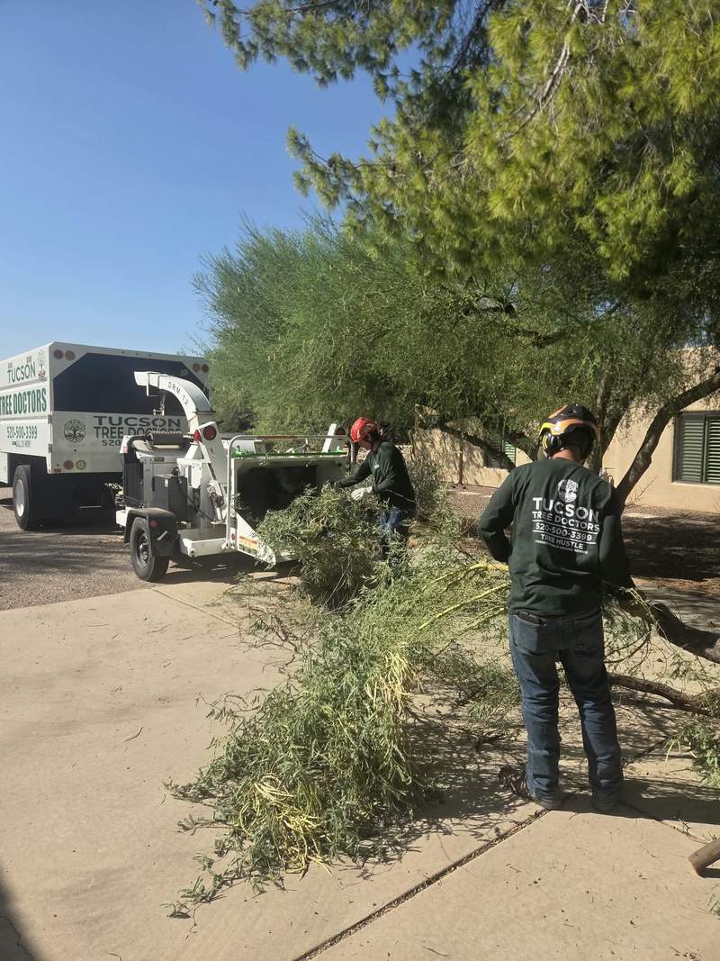 Storm Damage Cleanup