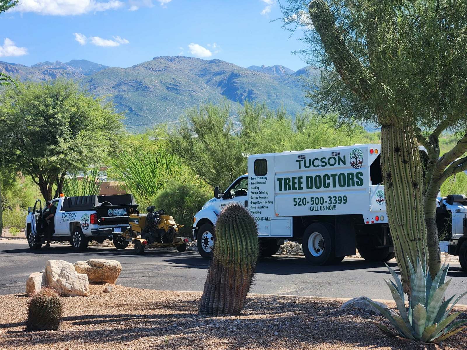 Tucson Tree Doctors trucks on a job in the Sonoran Desert with the Catalina Mountains behind